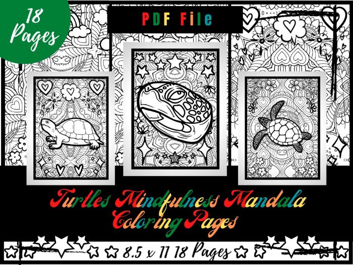 Turtles mindfulness mandala colouring pages animals printable colouring pages pdf teaching resources