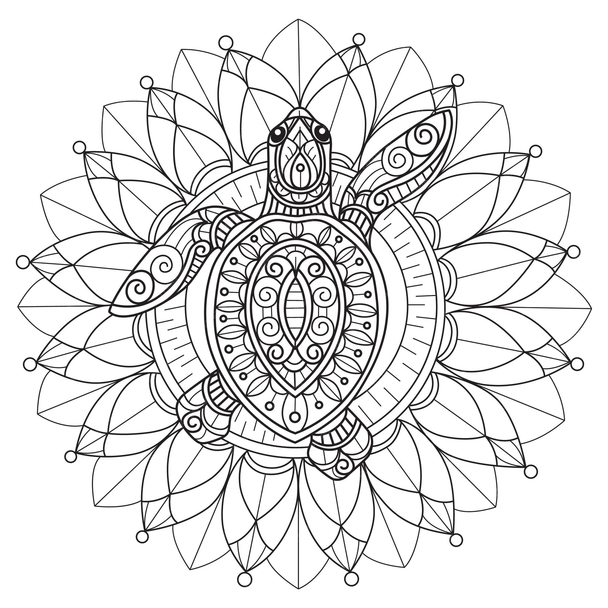 Premium vector turtle and sunflower hand drawn for adult coloring book