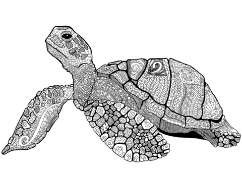 Zentangle turtle coloring page free printable coloring pages