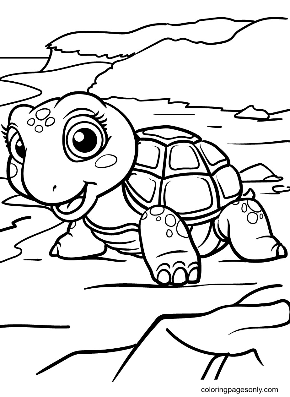 Turtle coloring pages printable for free download