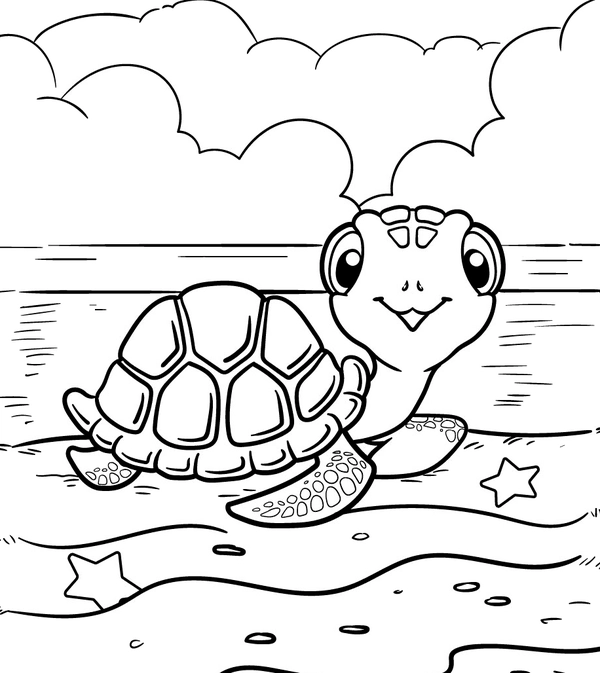 Ðï turtle on beach