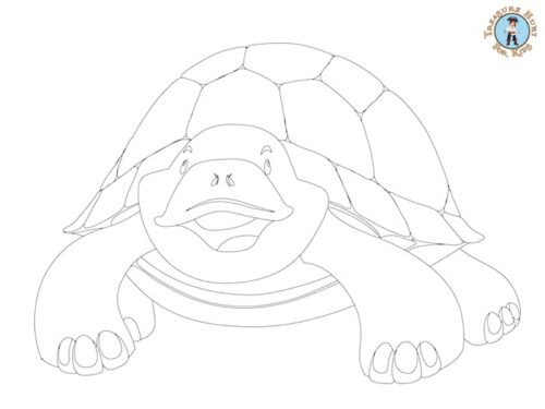 Turtle coloring page