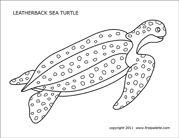 Sea turtles free printable templates coloring pages