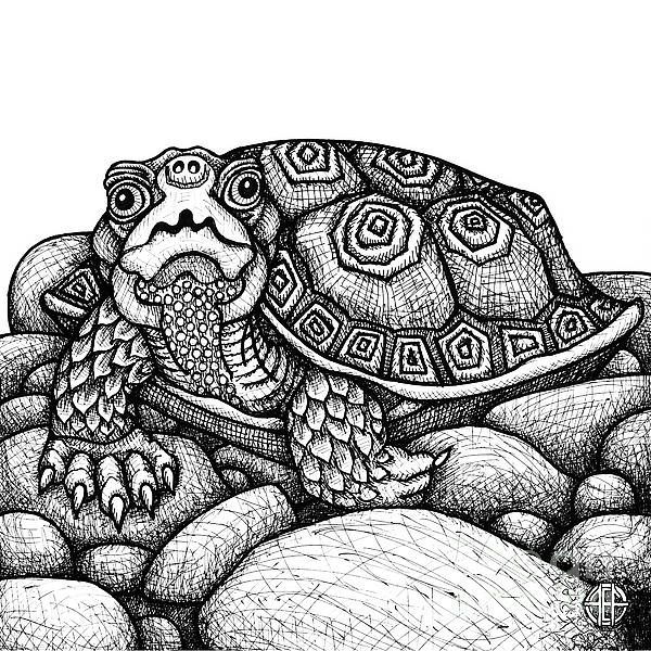 Wood turtle jigsaw puzzle by amy e fraser