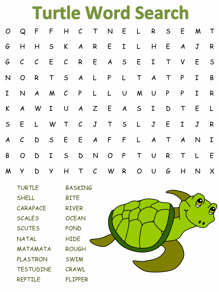 Turtle word searches