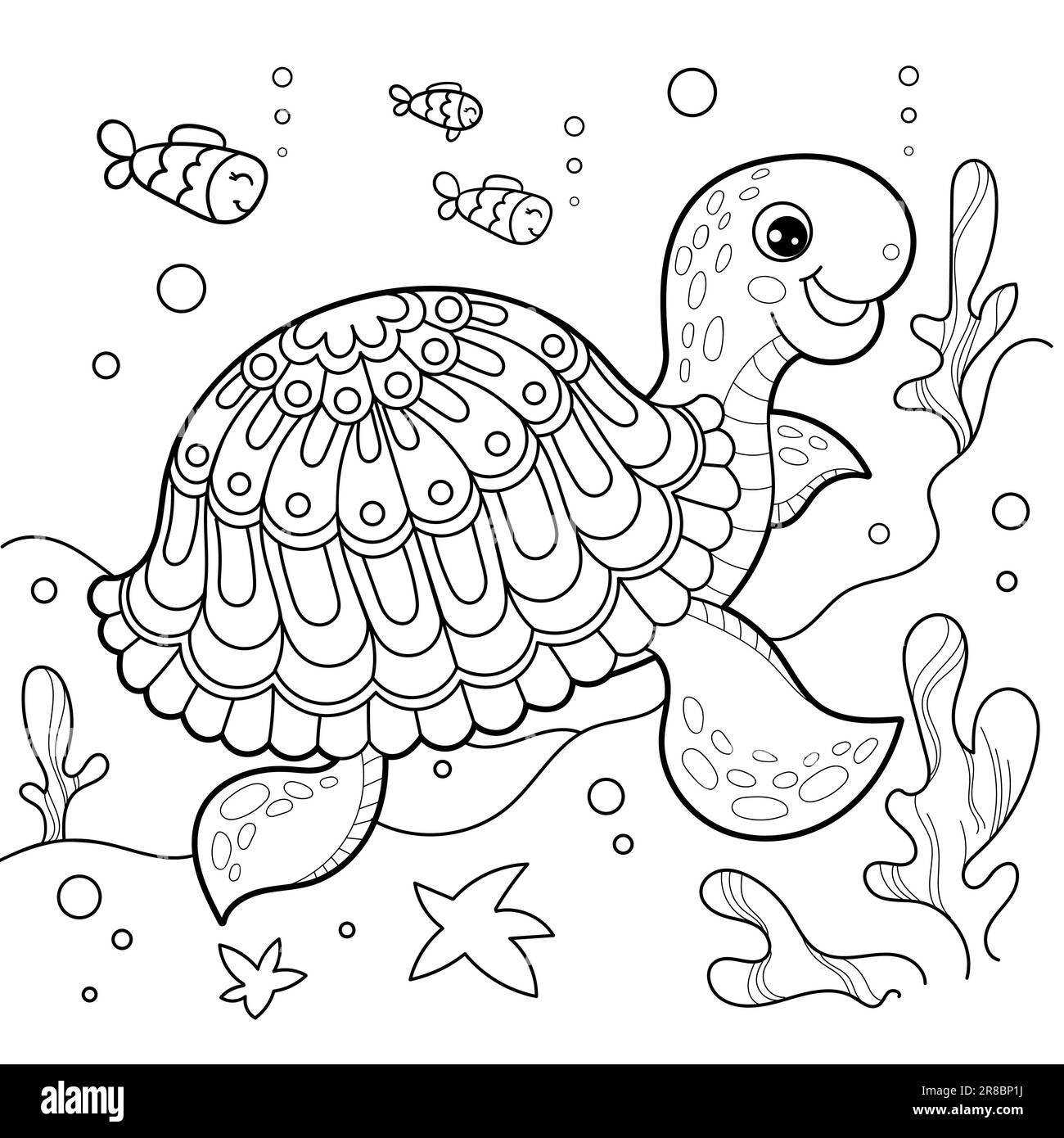 Tortoise shell coloring hi
