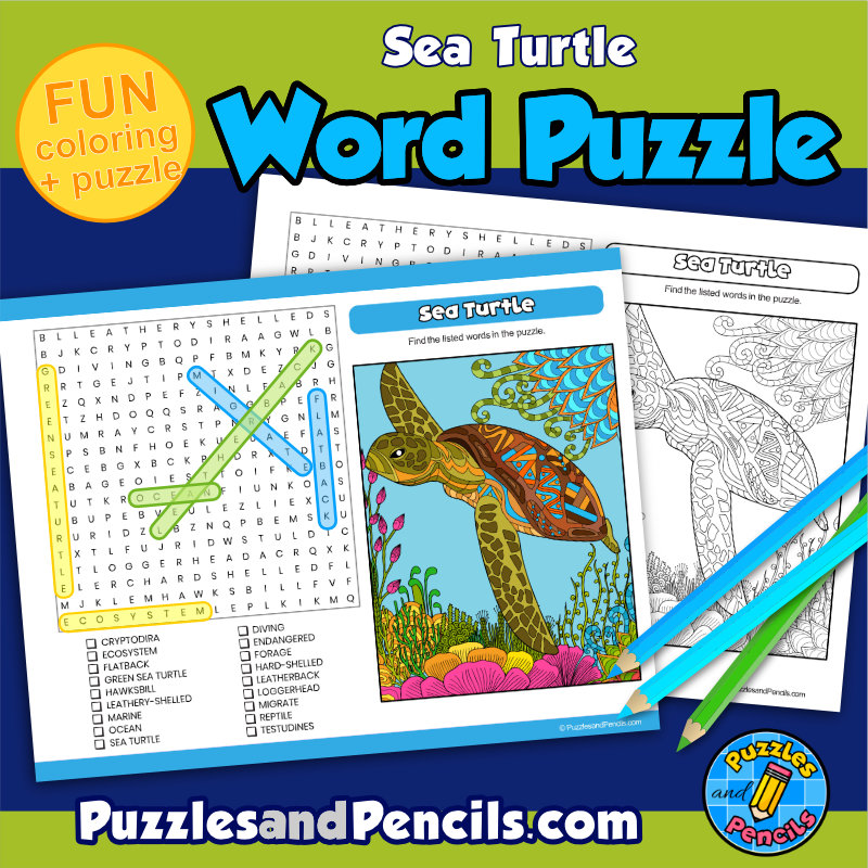 Sea turtle word search puzzle activity page and coloring wordsearch made by teachers