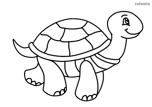Turtles coloring pages free printable turtle coloring sheets