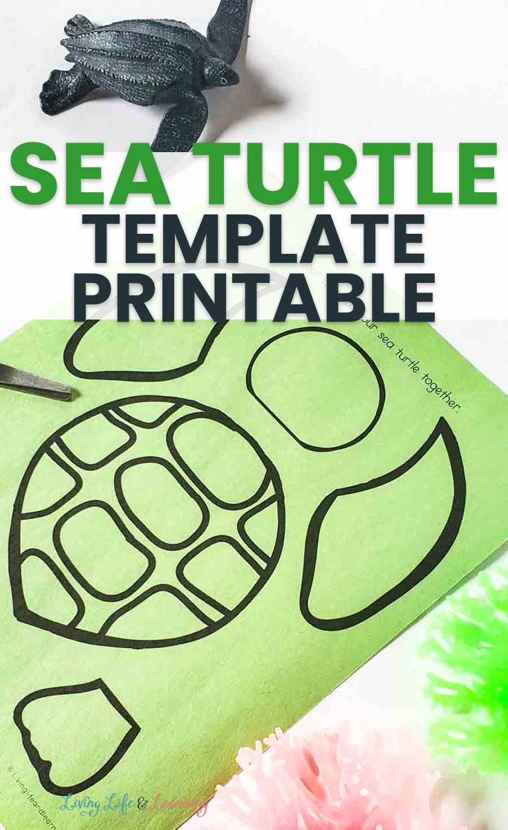 Sea turtle template printable