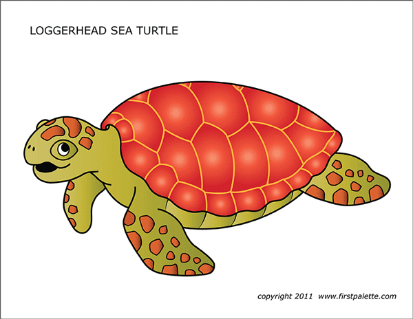 Sea turtles free printable templates coloring pages