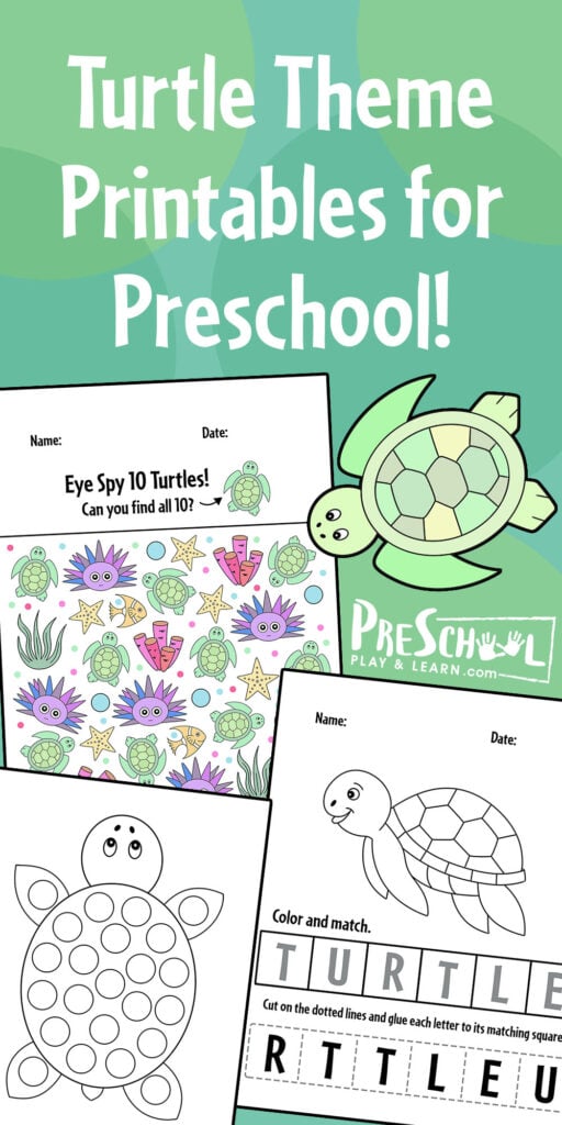 Ð free printable turtle worksheets for preschool theme