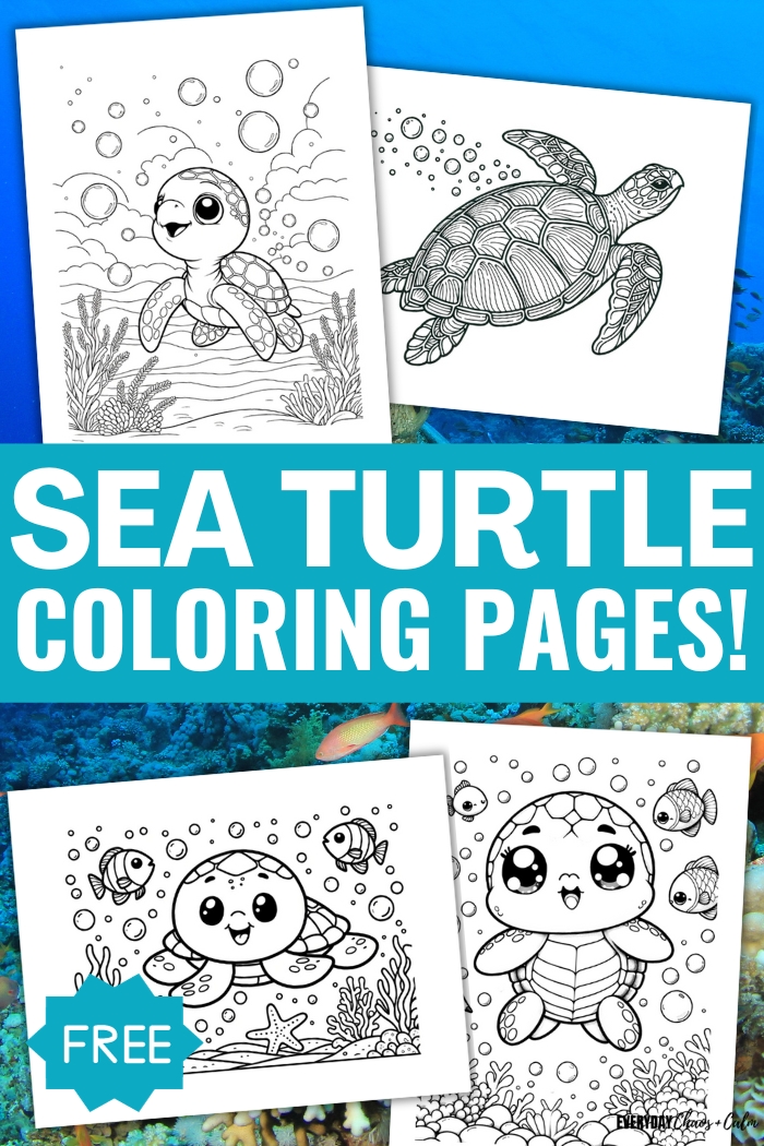 Free cute sea turtle coloring pages