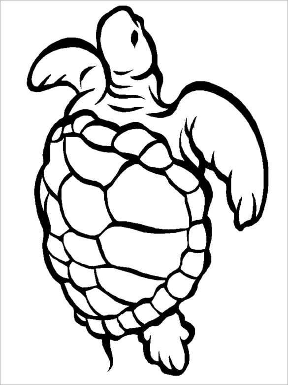 Turtle s crafts colouring pages