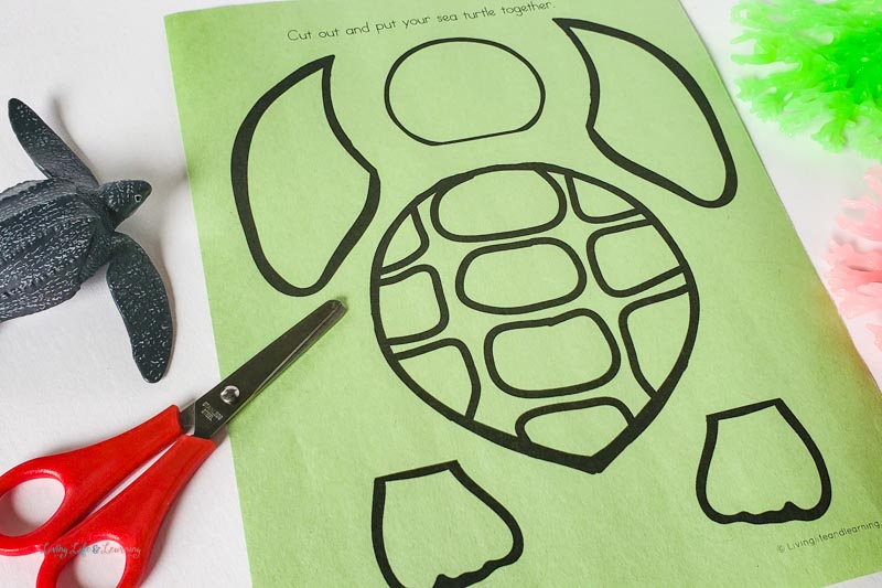 Sea turtle template printable