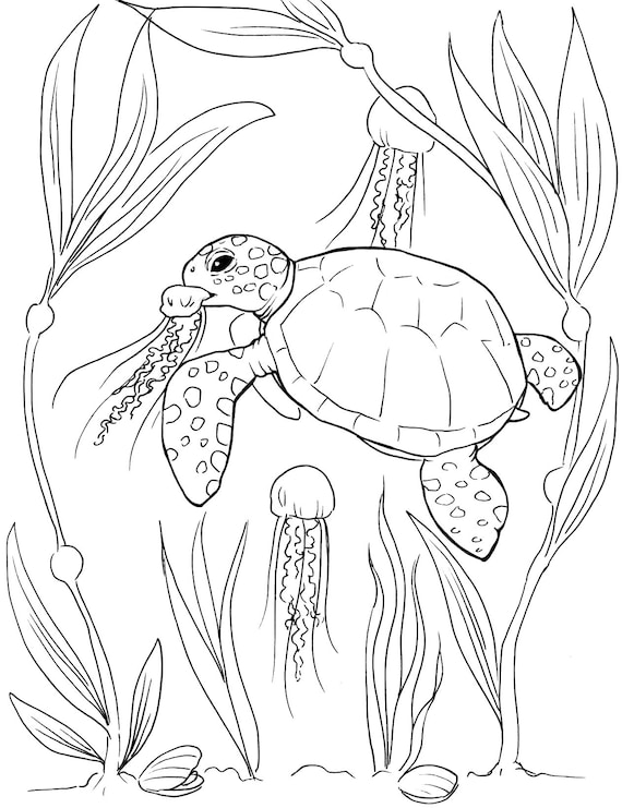 Sea turtle coloring pages