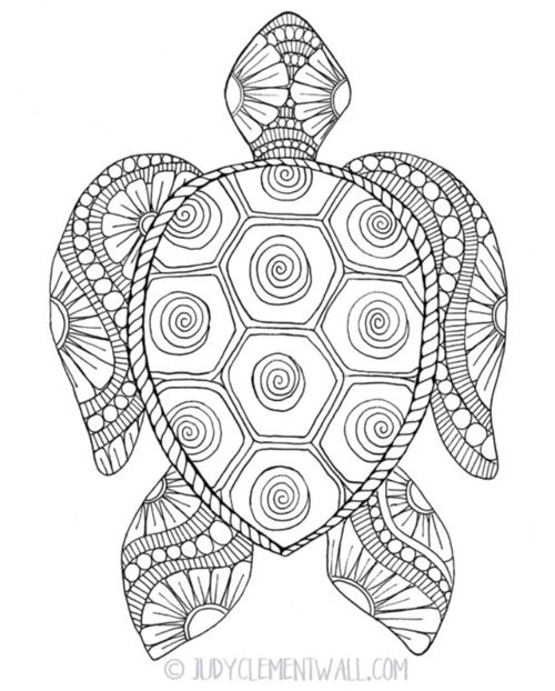 Gorgeous sea turtle coloring page