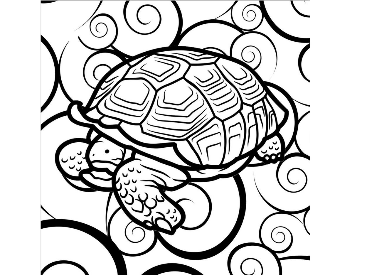 Turtle coloring book for kidsa fun collection of simple abstract turtle designs for kids to color a made by teachers