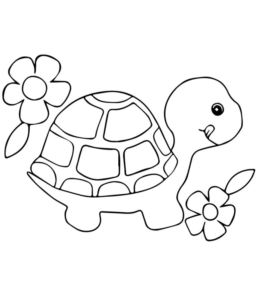 Top free printable turtle coloring pages online