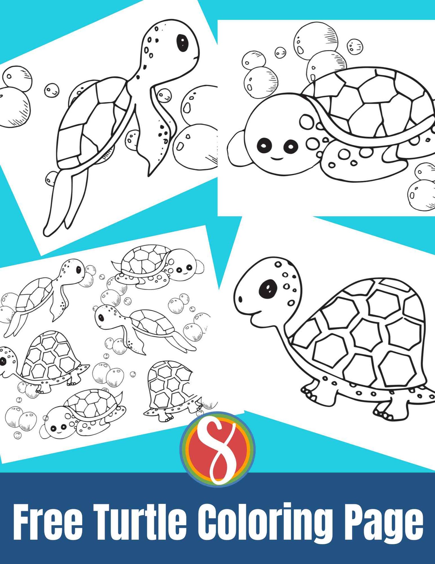 Free turtle coloring pages â stevie doodles