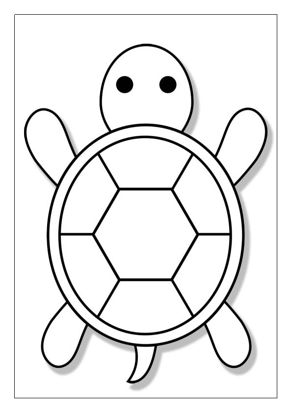 Turtle coloring pages free printable coloring sheets for kids