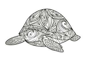 Turtle coloring pages to download