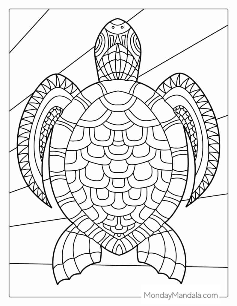 Turtle coloring pages free pdf printables