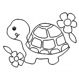 Turtle coloring for kids