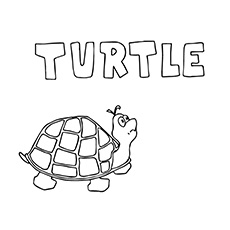 Top free printable turtle coloring pages online