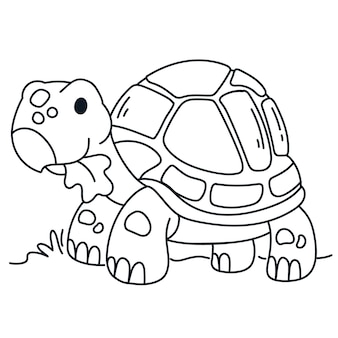 Turtle coloring images