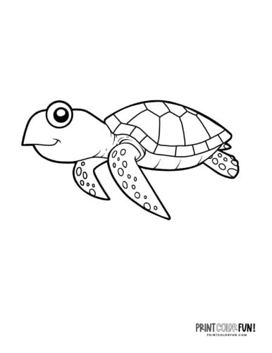 Sea turtle coloring pages clipart at