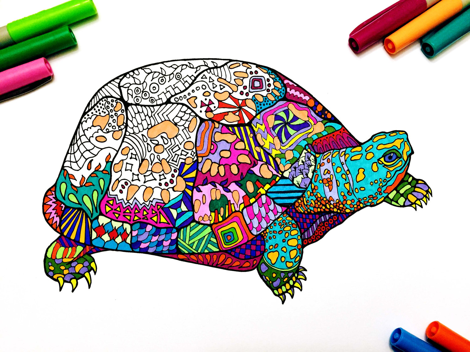 Box turtle â pdf zentangle coloring page â scribble stitch