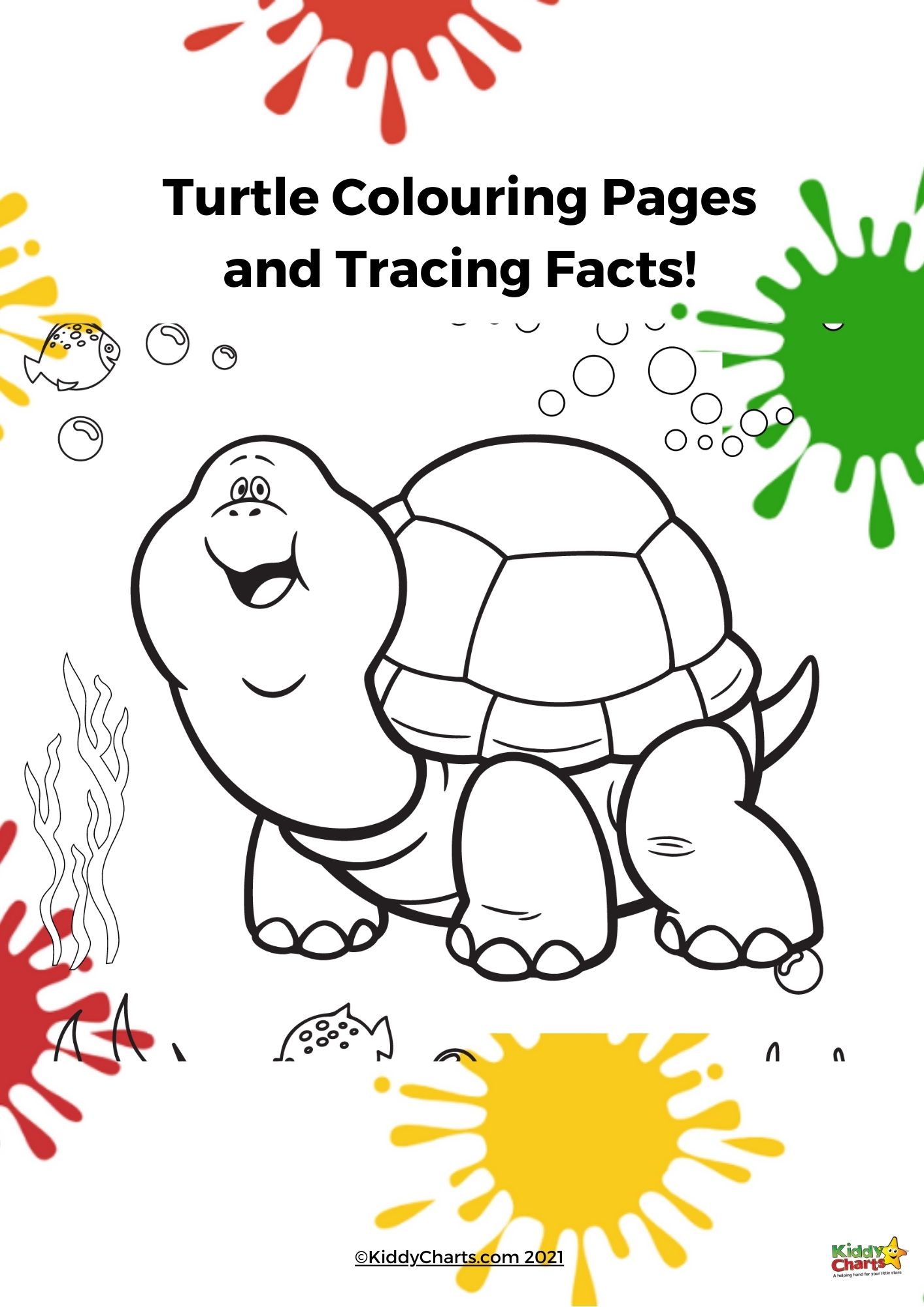 Turtle coloring pages turtle colouring and facts