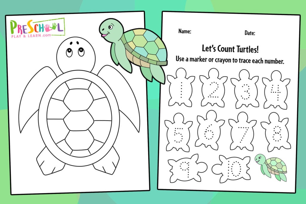 Ð free printable turtle worksheets for preschool theme