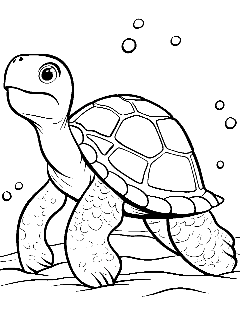 Turtle coloring pages free printable sheets