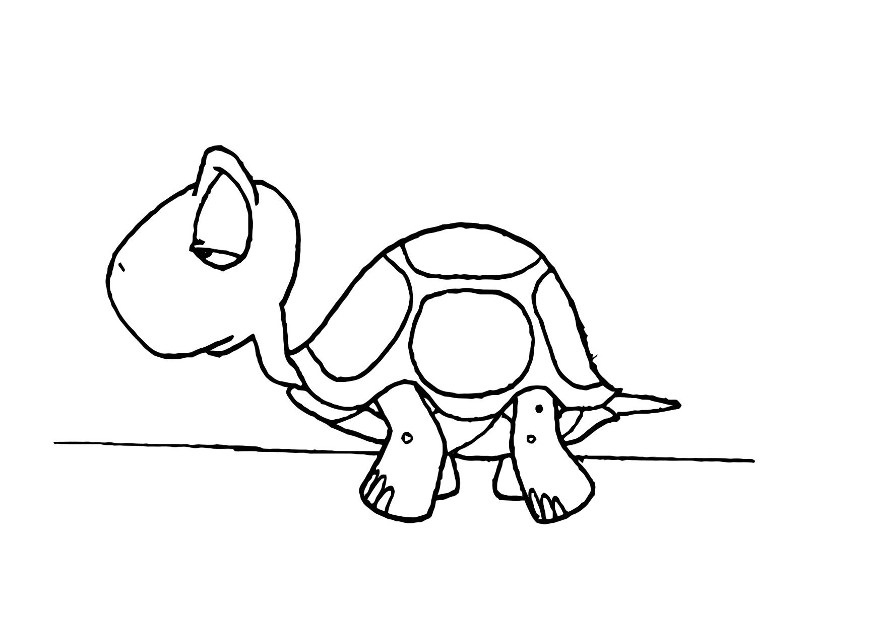 Free printable turtle coloring pages for kids