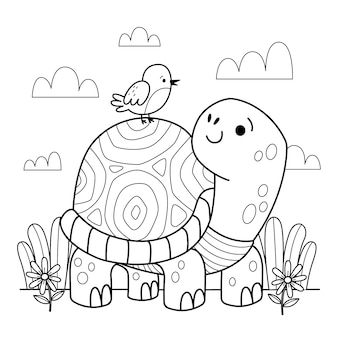 Turtle coloring images