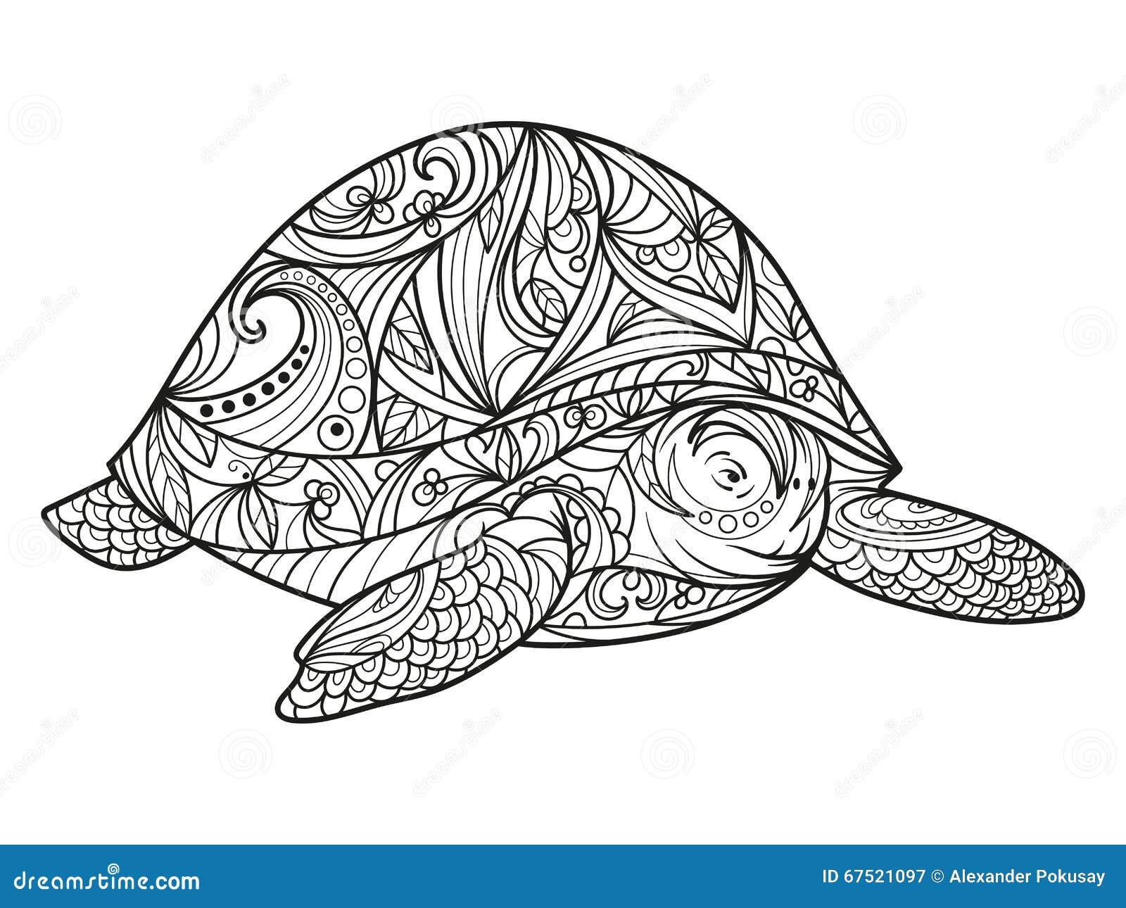 Turtle coloring book for adults vector stock vector