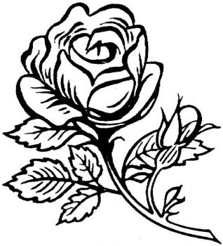 Beautiful big rose coloring page super coloring rose coloring pages flower coloring pages free coloring pages