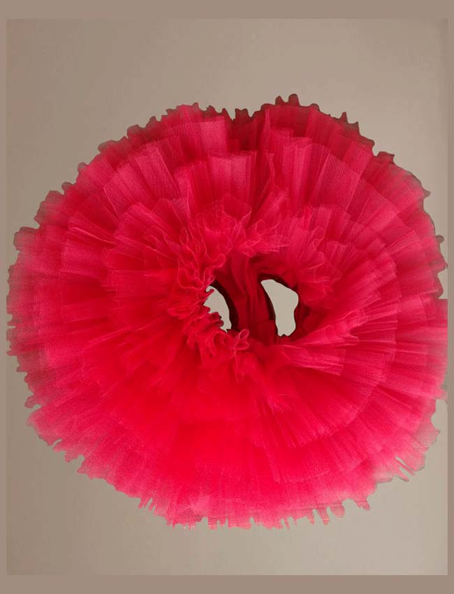 Don quixote ballet tutu pro