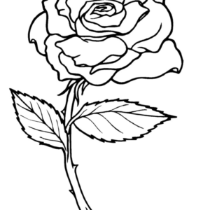 Rose coloring pages printable for free download