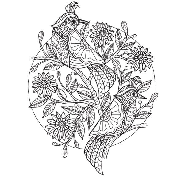 Two birds with flowers in spring mandala coloring page