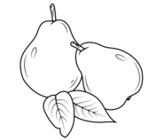 Pears coloring pages free coloring pages