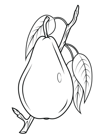 Pear on branch coloring page free printable coloring pages