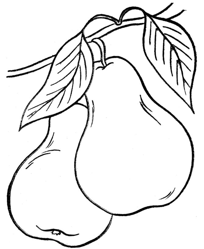 Thanksgiving dinner coloring page with pears