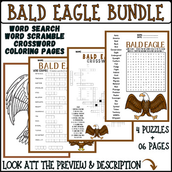 American bald eagle bundle