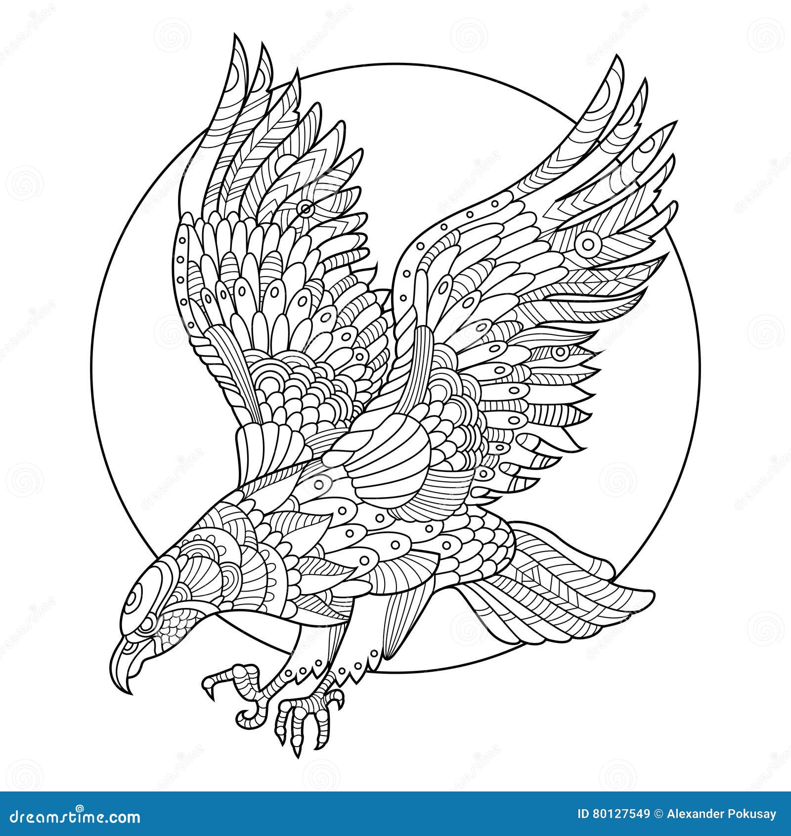 Eagle coloring illustrations vectors