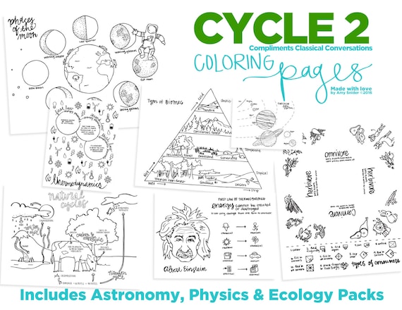 Th edition cycle science coloring pages instant download