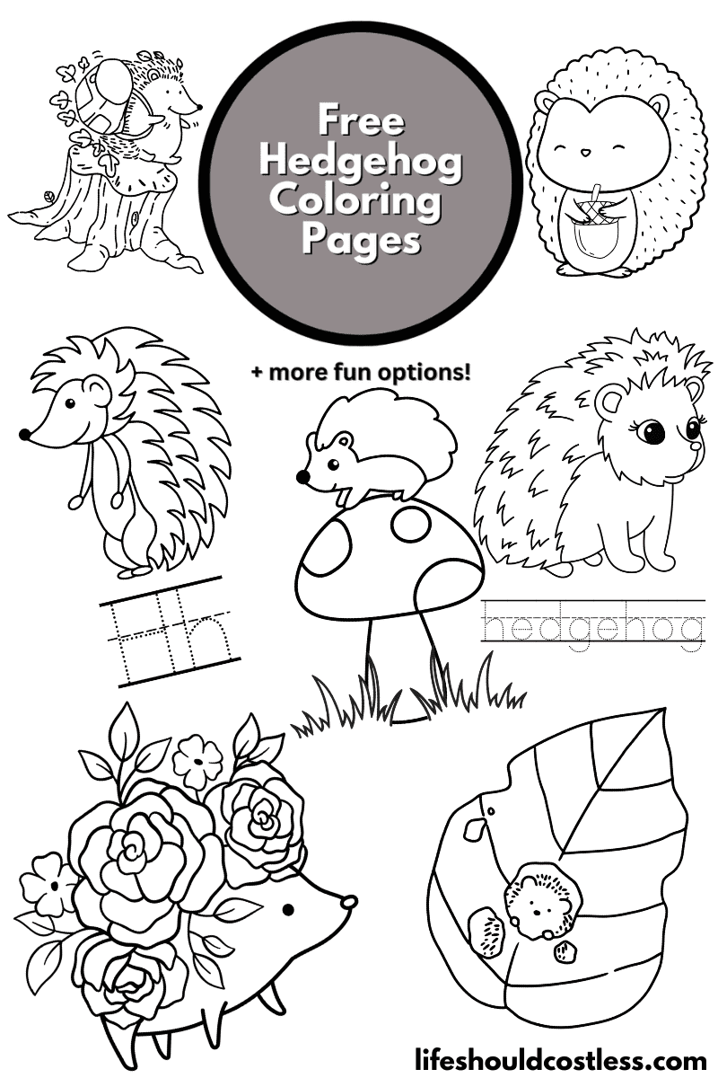 Hedgehog coloring pages free printable pdf templates