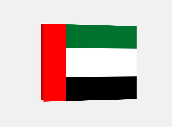 Flag of united arab emirates wall art