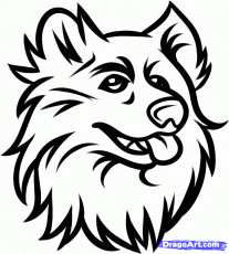 Uconn huskies coloring page